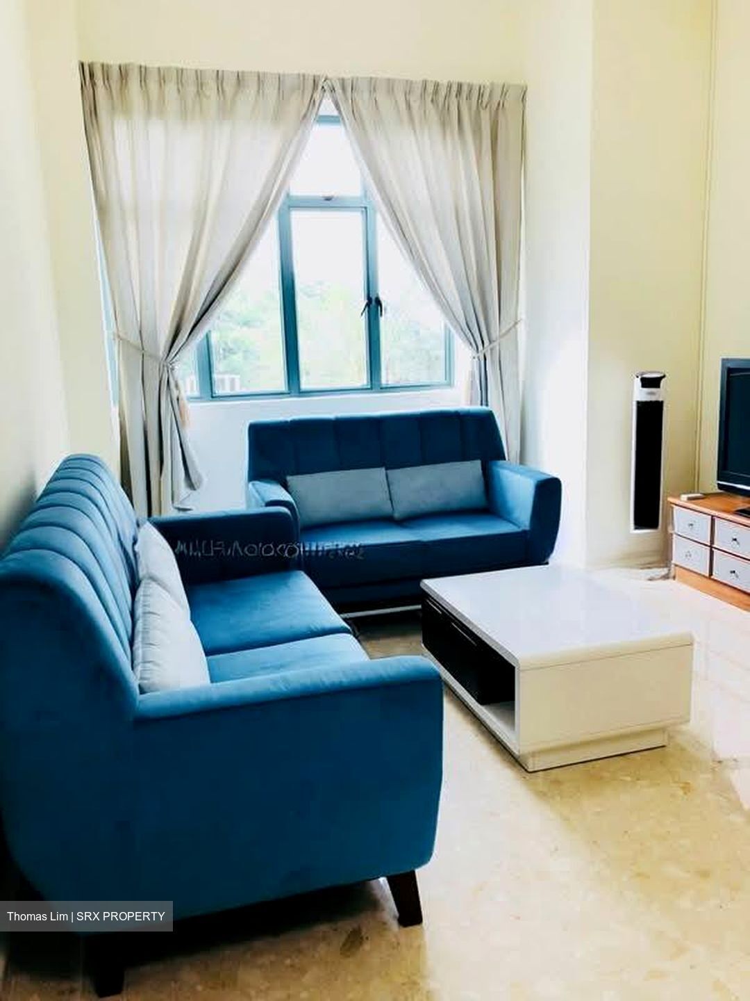 Tanglin Regency (D10), Condominium #591988981